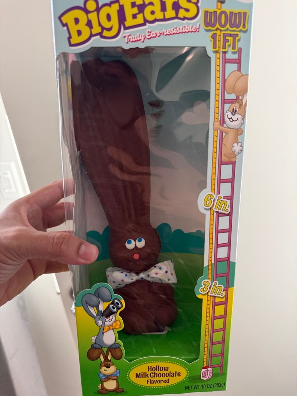 Big Ears Hollow Milk Chocolate Bunny - Brown